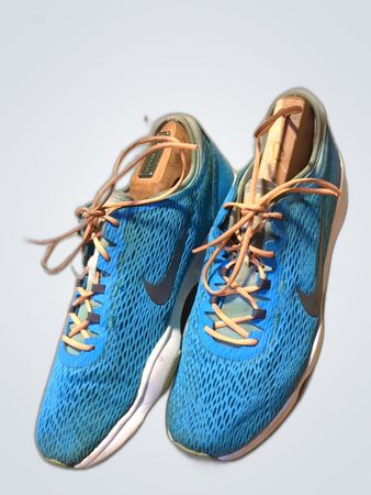 Nike Blue Mesh Sneakers