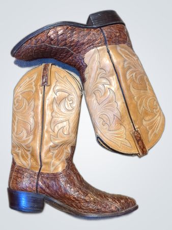 Cowboy Boot Covers
