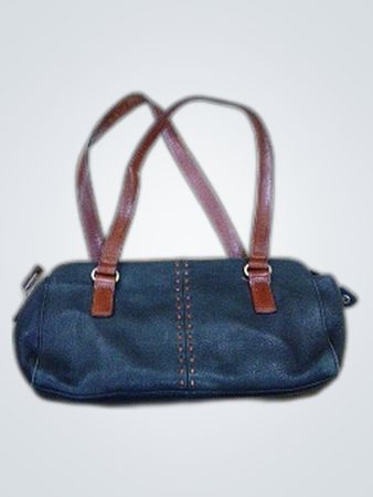 Fossil Handbag