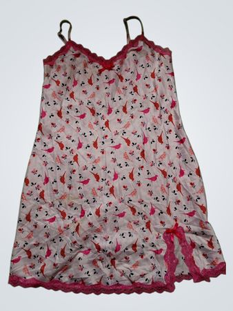 Good Night Ladies Nightgown