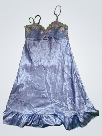 Blue Nightgown