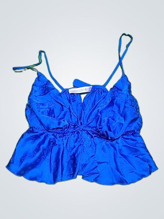 Blue Ruffled Top