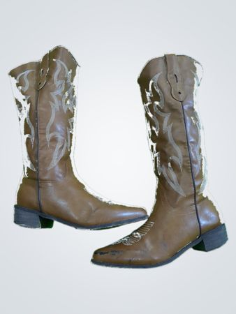 Brown Cowboy Boots with White Embroidery
