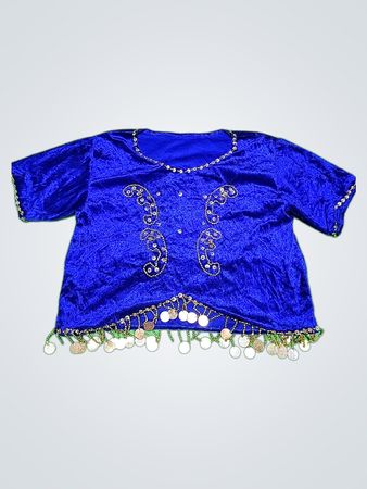 Blue Embroidered Blouse