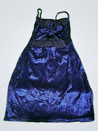 Blue Velvet Dress