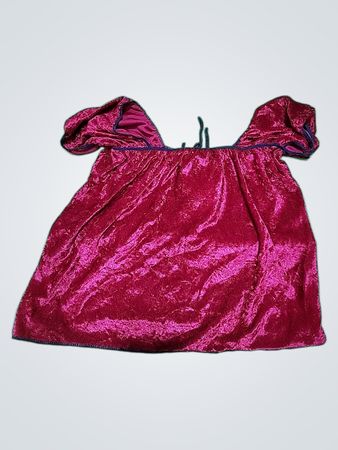Pink Velvet Top