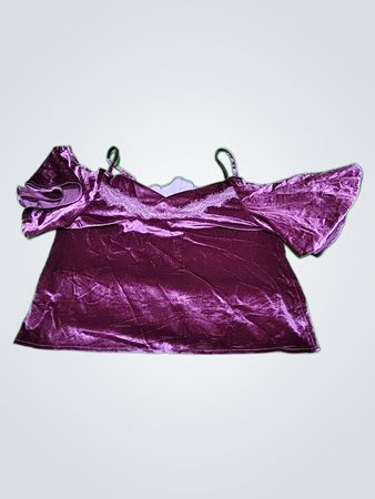 Purple Velvet Top