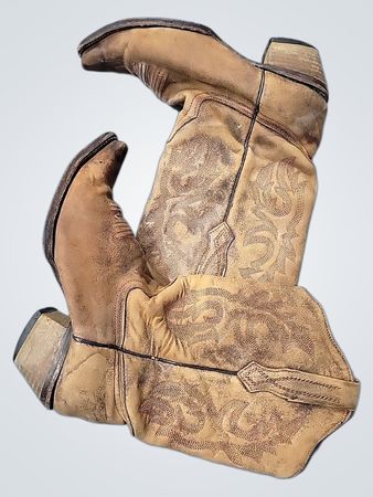 Lucchese Cowboy Boots