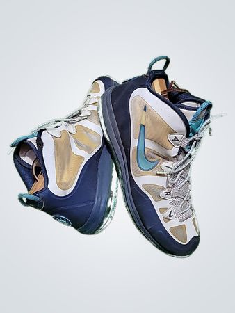Nike Air Max Shoes