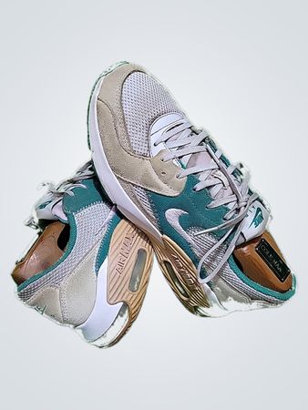 Nike Air Max Sneakers