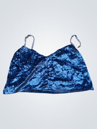 Blue Velvet Cami Crop Top