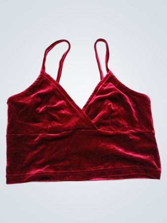 Urban Renewal Samt Crop Top