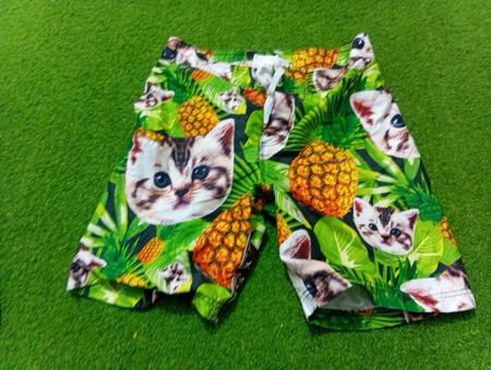 Shorts de bain imprimés Chat de matière noire et Ananas