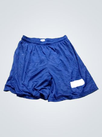 Russell Athletic blaue Sportshorts