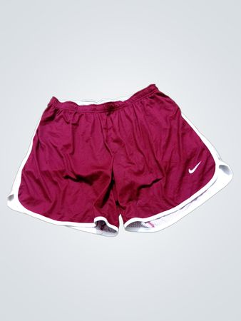 Nike Dri-Fit Laufshorts