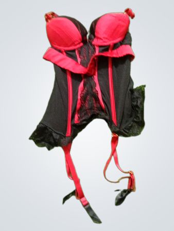Lovehoney Lingerie Korsett