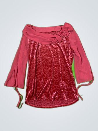 Pink Velvet Blouse