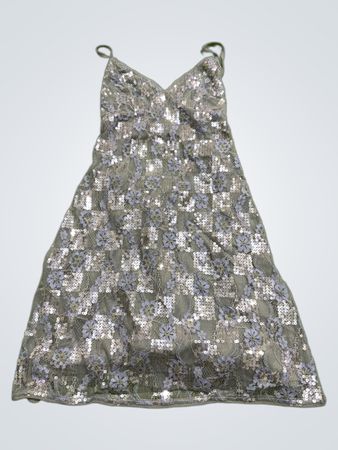 Sequin and Lace Dress