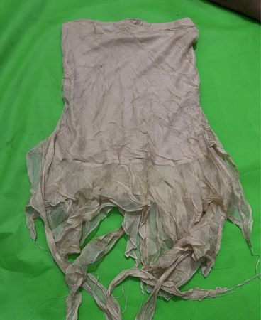 Bebe Sheer Distressed Top
