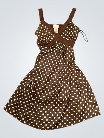 Karin Stevens Brown Polka Dot Dress
