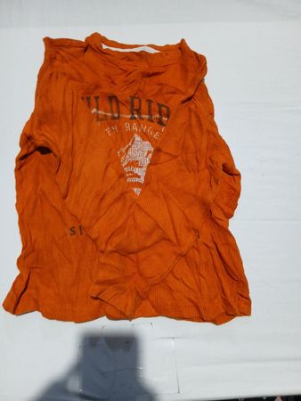 Carhartt Orange Graphic Hoodie