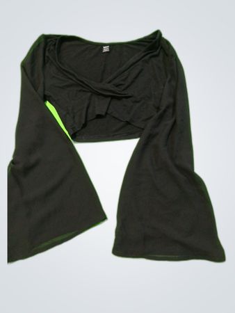 SHEIN Black Sheer Long Sleeve Blouse