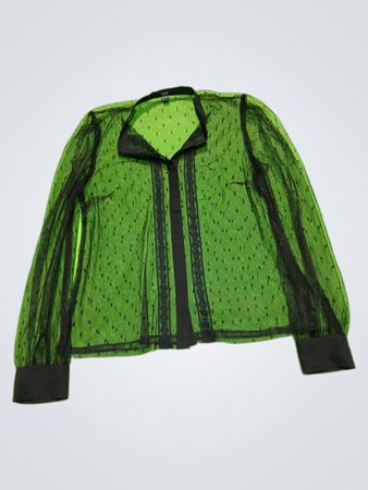 Green Sheer Mesh Top