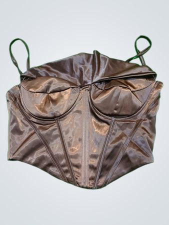 Brown Satin Bustier