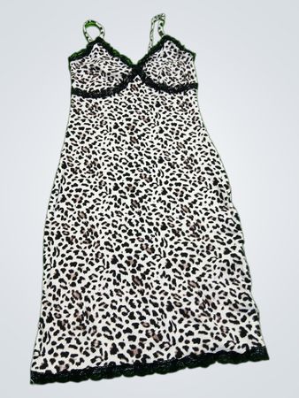 Wild Fable Leopard Print Dress