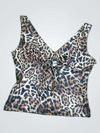 Leopard Print Crop Top