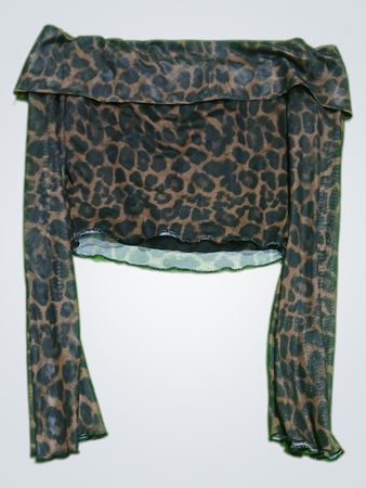 Leopard Print Crop Top