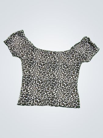 Leopard Print Off-The-Shoulder Top