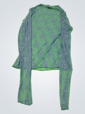 Sheer Long Sleeve Top
