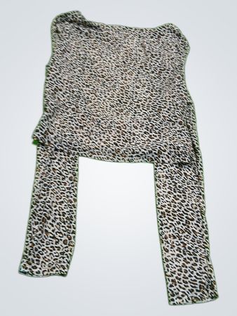 Leopard Print Long-Sleeve Top