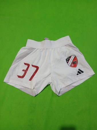 Pegasus FC Soccer Shorts