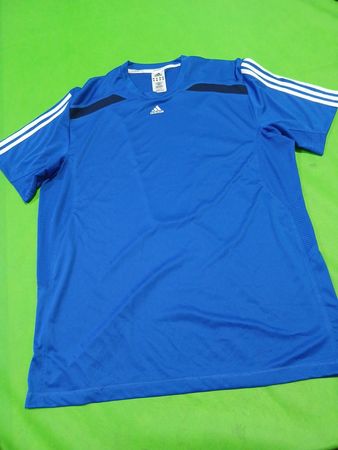 Adidas Blue Performance T-Shirt