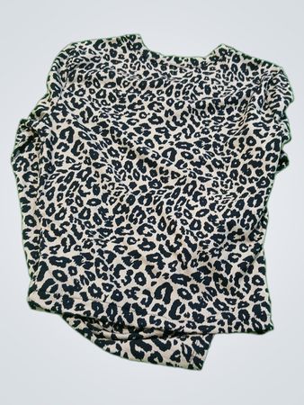 Leopard Print Top