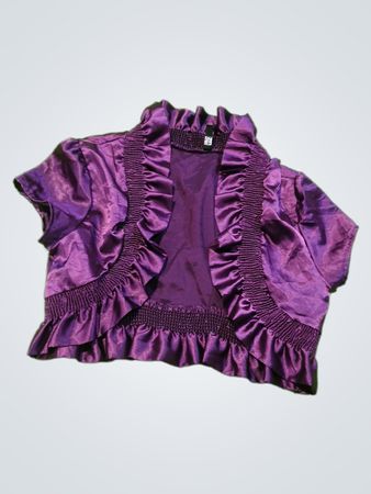 Purple Ruffled Top