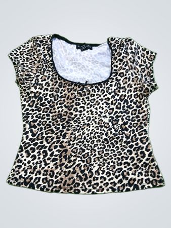 Leopard Print Top