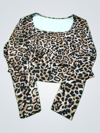 Leopard Print Long-Sleeve Top
