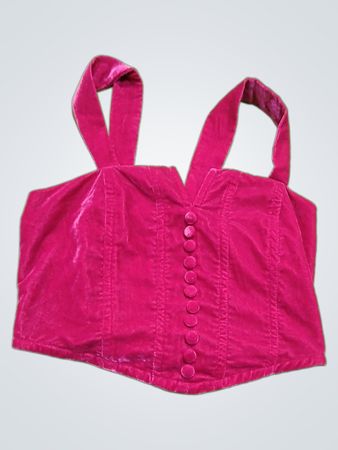 Rachel Zoe Velvet Crop Top