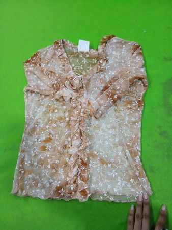 Pose Sheer Floral Print Ruffle Blouse