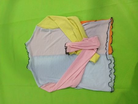 Durchsichtige Netz-Farbblock-Bluse