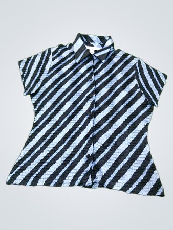 Petite Sophisticate Blue and Black Striped Pleated Top