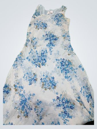 Chadwick's Blue Floral Print Silk Dress