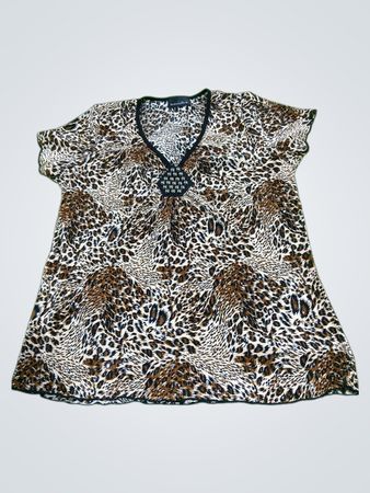 Brittany Black Leopard Print V-Neck Top