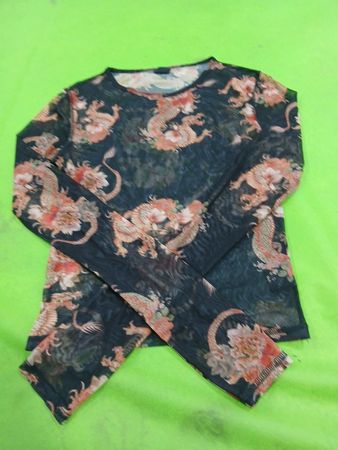 Urban Outfitters Mesh Dragon Print Long Sleeve Top