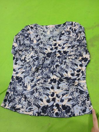 Ariston-S Blue and White Printed Top