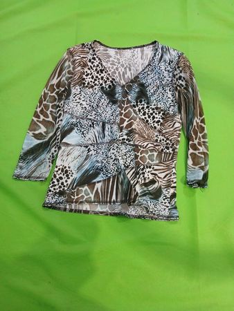 Animal Print Sheer Blouse