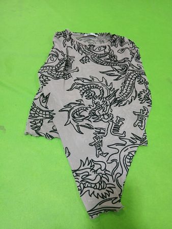FB Sister Dragon Print Netz-Top